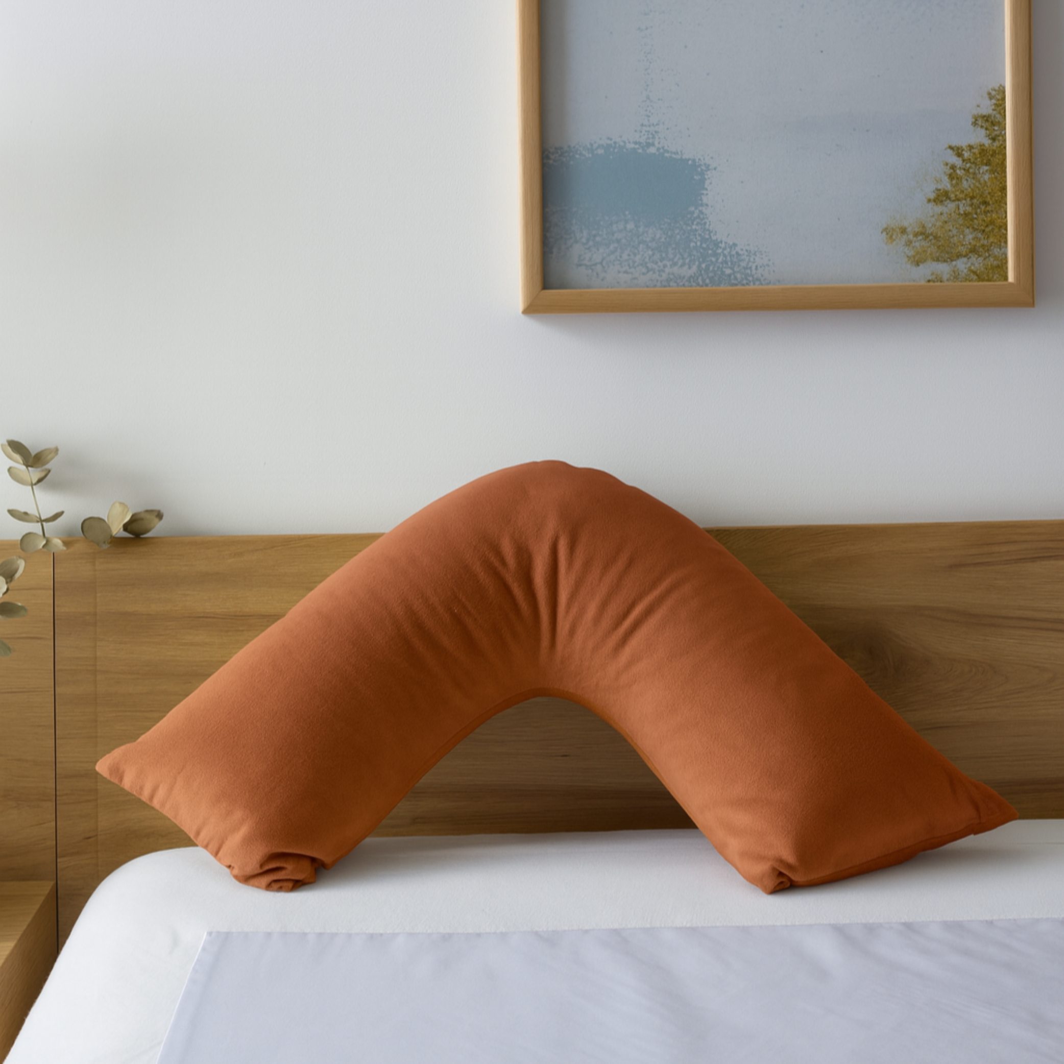 Boomerang Pillow Case